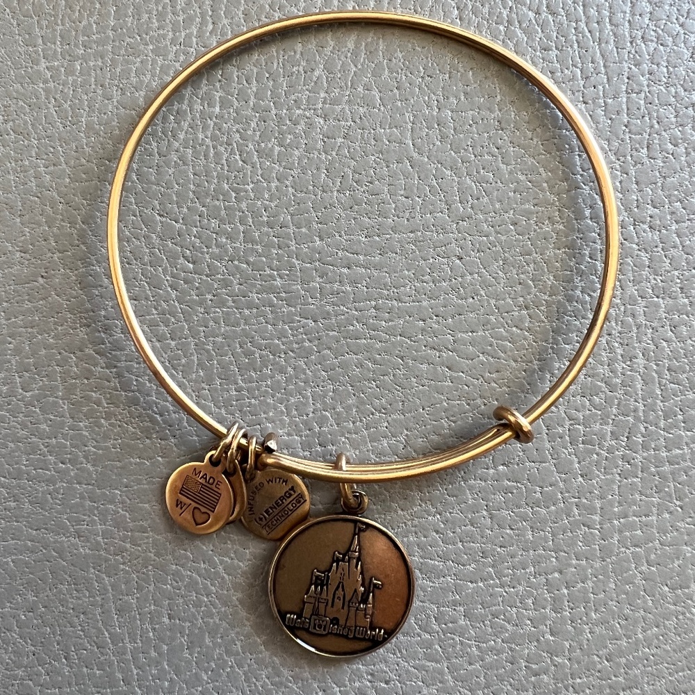 Alex and Ani Bracelet featuring Walt Disney World's Magic Kingdom Castle